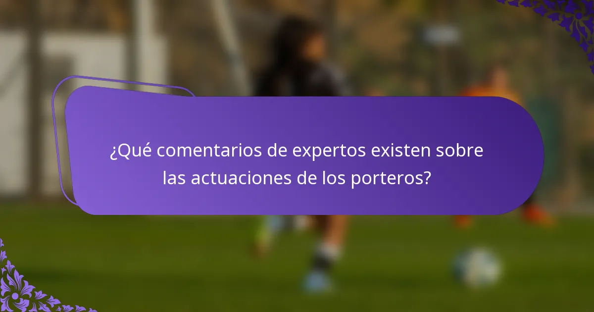 ¿Qué comentarios de expertos existen sobre las actuaciones de los porteros?
